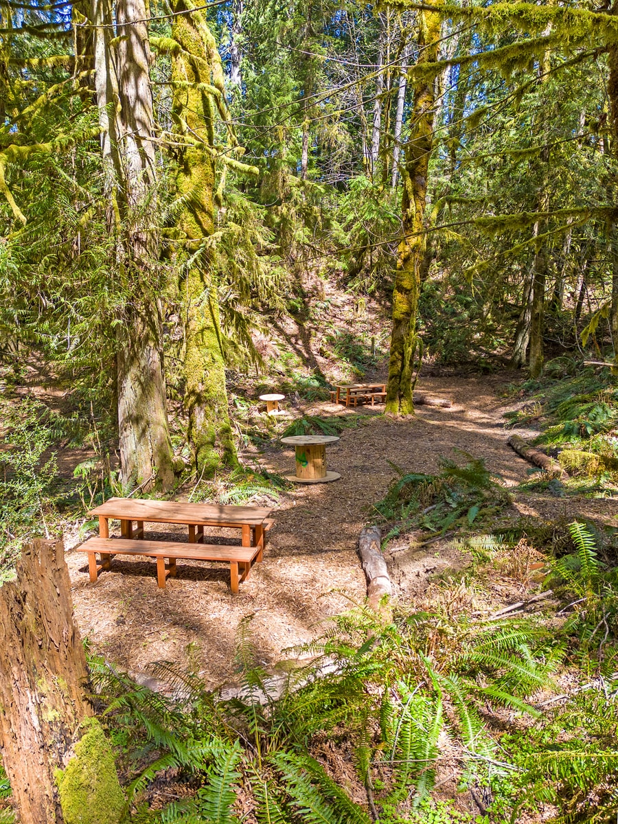 Outdoor gathering area